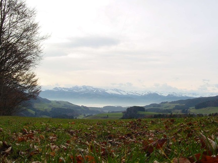 Aussicht in die Schweizer Berge